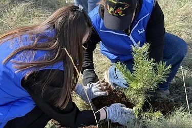 В «Качкарском Маре» высадили 200 деревьев